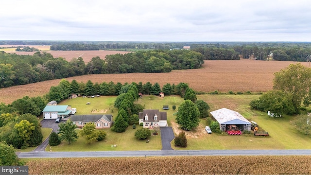 10037 Grapevine Rd, Mardela Springs, MD 21837 - overview of rural landscape