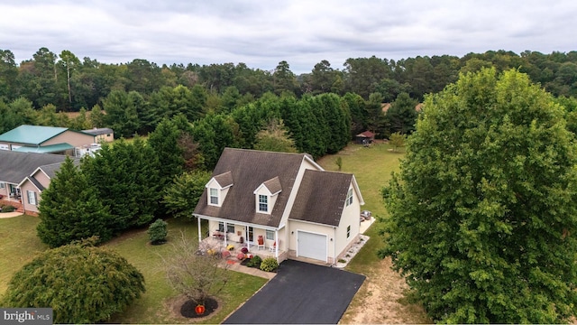 10037 Grapevine Rd, Mardela Springs, MD 21837 - view from above of property featuring a heavily wooded area