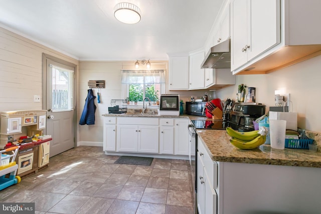 kitchen featuring black microwave, a healthy amount of sunlight, stainless steel range with electric cooktop, and under cabinet range hood