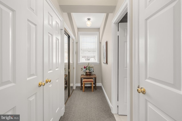4360 Westover Pl NW, Washington, DC 20016 - hallway with light carpet and baseboards