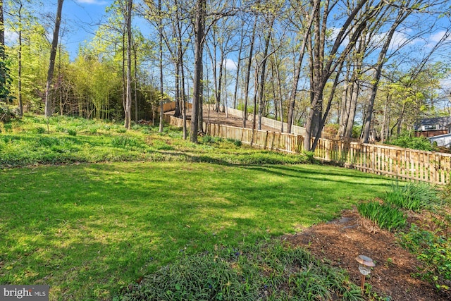 3306 Old Dominion Blvd, Alexandria, VA 22305 - view of yard