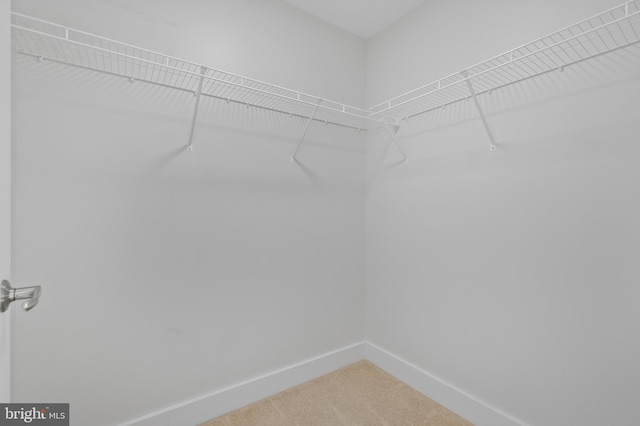 spacious closet with light carpet