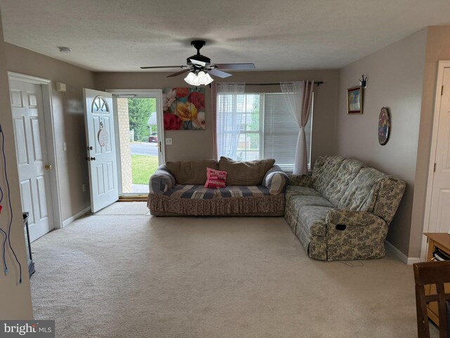 1175 Brook Ct, Front Royal, VA 22630 - living area featuring carpet flooring, ceiling fan, baseboards, and a textured ceiling