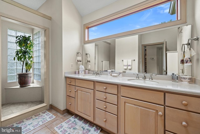 18291 Calumet Ln, Bluemont, VA 20135 - full bathroom with double vanity, a sink, and a healthy amount of sunlight