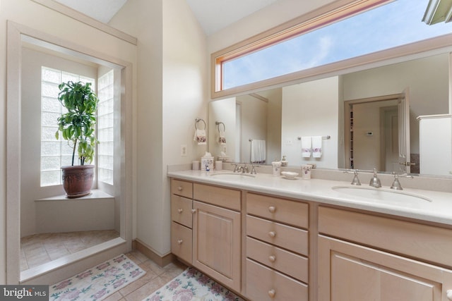 18291 Calumet Ln, Bluemont, VA 20135 - full bathroom with double vanity, a sink, and plenty of natural light