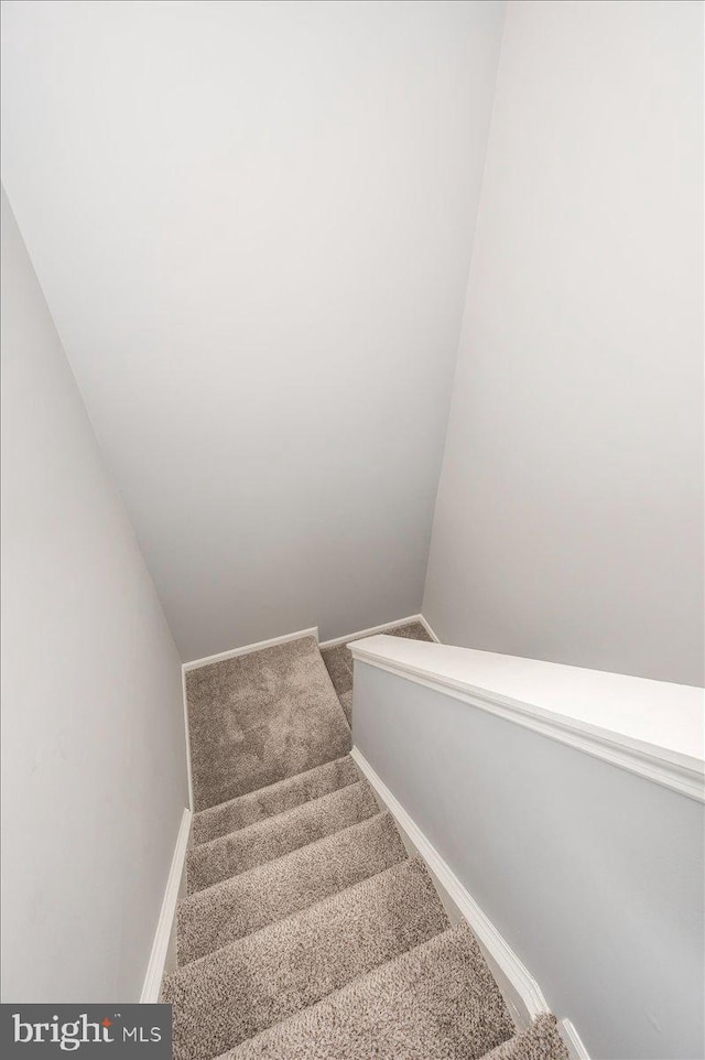 558 Hollyberry Way, Frederick, MD 21703 - staircase with carpet flooring and baseboards