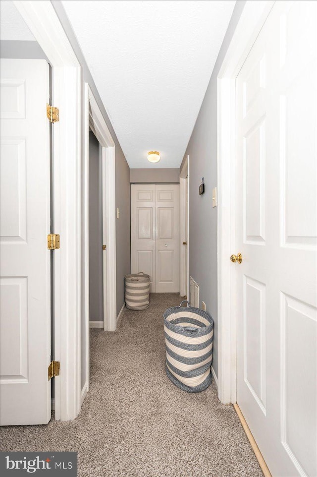 558 Hollyberry Way, Frederick, MD 21703 - hall with carpet flooring, baseboards, and visible vents