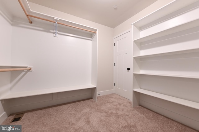 3519 Cedar Dr, Edgewater, MD 21037 - walk in closet with carpet floors and visible vents
