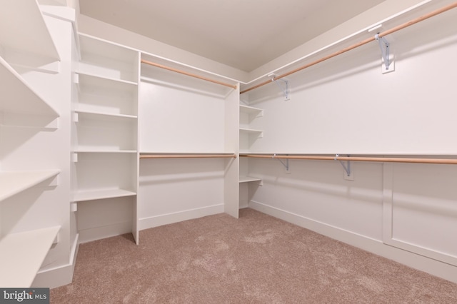 3519 Cedar Dr, Edgewater, MD 21037 - spacious closet featuring carpet floors