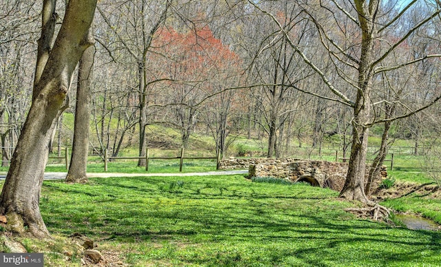 227 Jackson Rd, Cochranville, PA 19330 - view of green lawn with a forest view