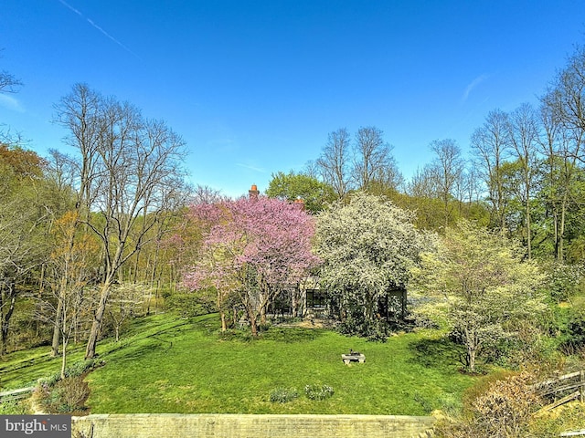 227 Jackson Rd, Cochranville, PA 19330 - view of green lawn