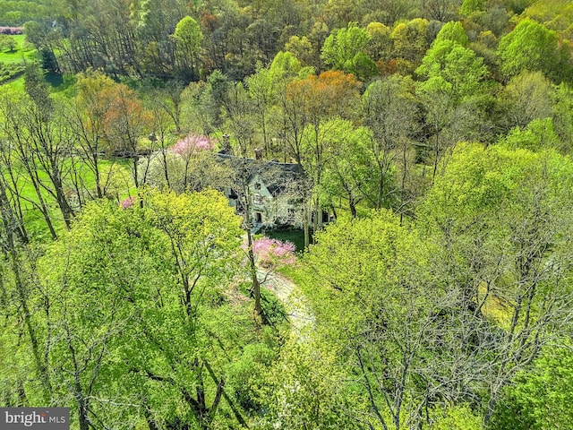 227 Jackson Rd, Cochranville, PA 19330 - view of subject property with a heavily wooded area