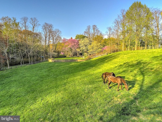 227 Jackson Rd, Cochranville, PA 19330 - view of green lawn