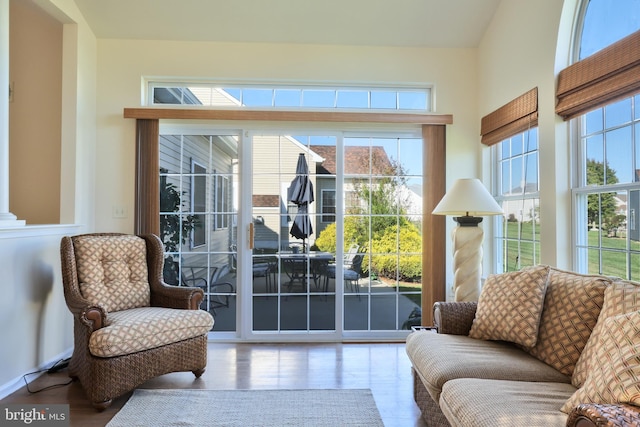 interior space featuring a healthy amount of sunlight and wood finished floors