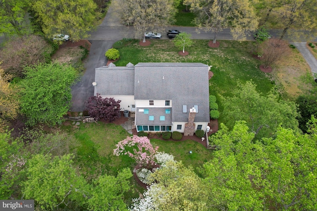 bird's eye view