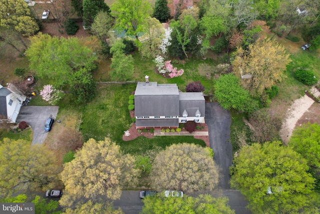 bird's eye view