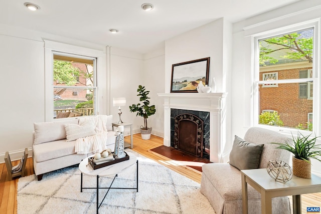 410 Altamont Cir, Charlottesville, VA 22902 - living room with baseboards, wood finished floors, a healthy amount of sunlight, and a high end fireplace