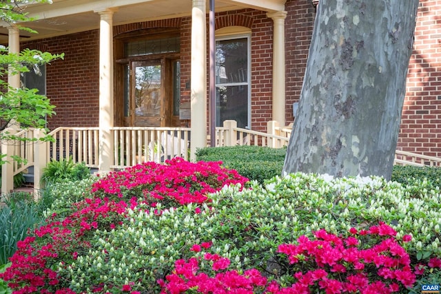 410 Altamont Cir, Charlottesville, VA 22902 - doorway to property with covered porch and brick siding