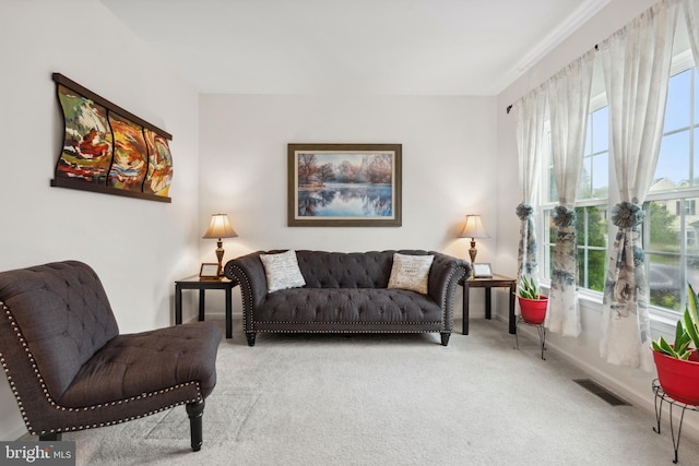 155 Tollerton Trl, Falling Waters, WV 25419 - living area with carpet, plenty of natural light, and baseboards