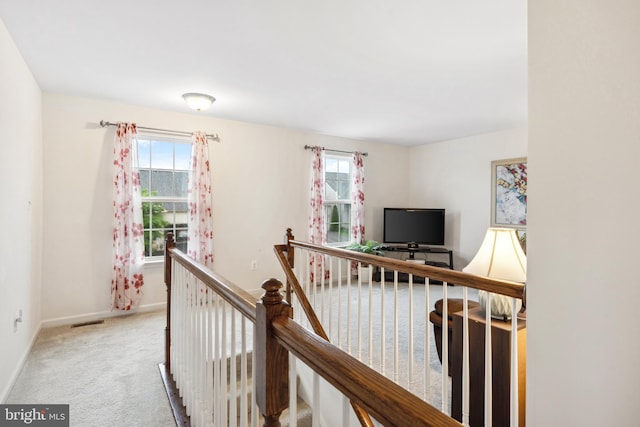 155 Tollerton Trl, Falling Waters, WV 25419 - hallway with plenty of natural light, an upstairs landing, carpet flooring, and baseboards