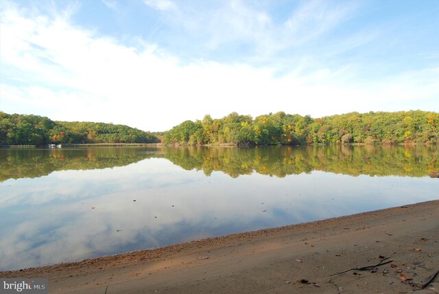 water view featuring a wooded view