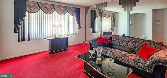 carpeted living area featuring baseboards and a textured ceiling