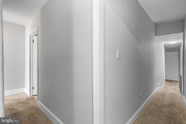412 Market St, Trenton, NJ 08611 - hall featuring carpet flooring and baseboards