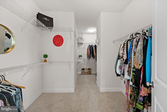 walk in closet with carpet floors