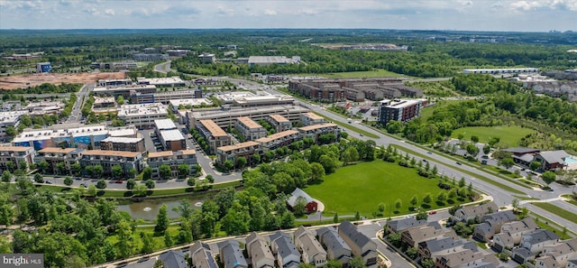 bird's eye view