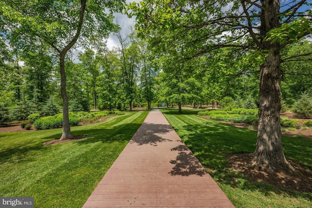 surrounding community with a yard