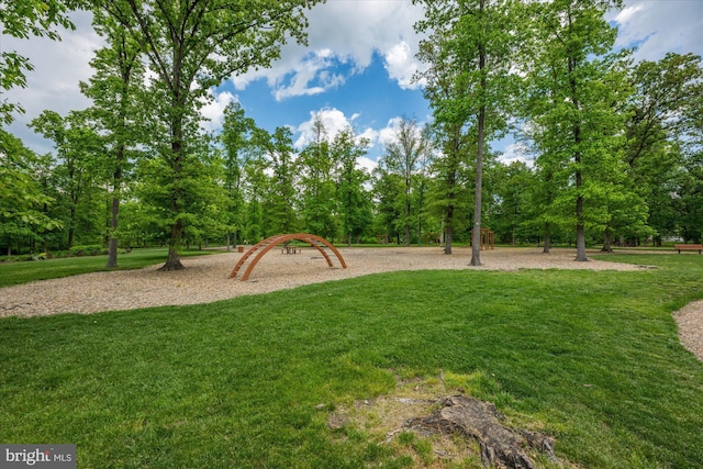 view of grassy yard