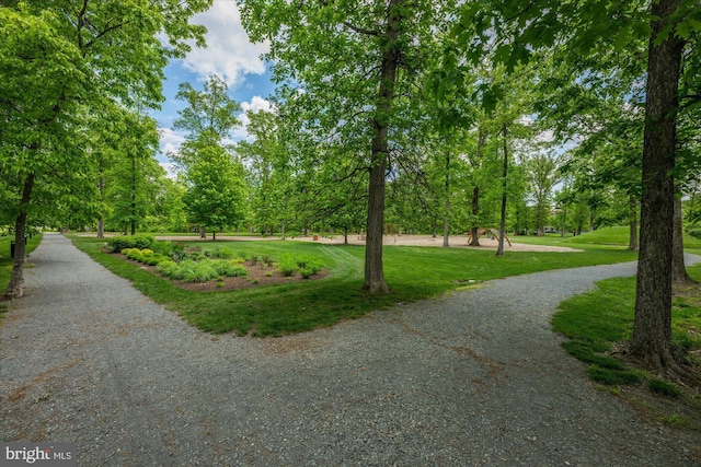 view of home's community with a lawn