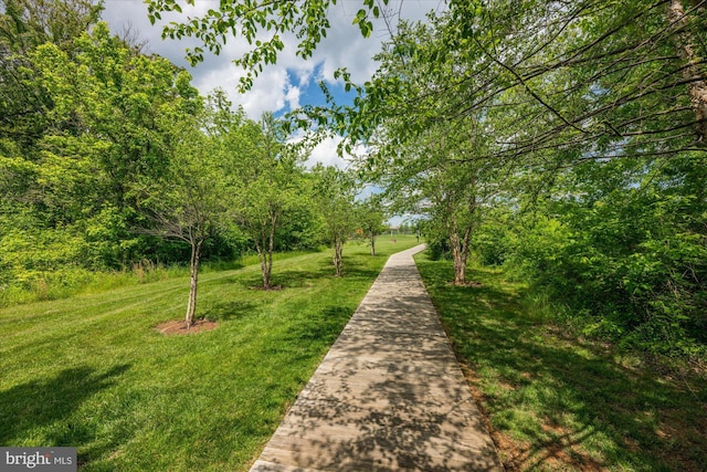 view of property's community with a yard
