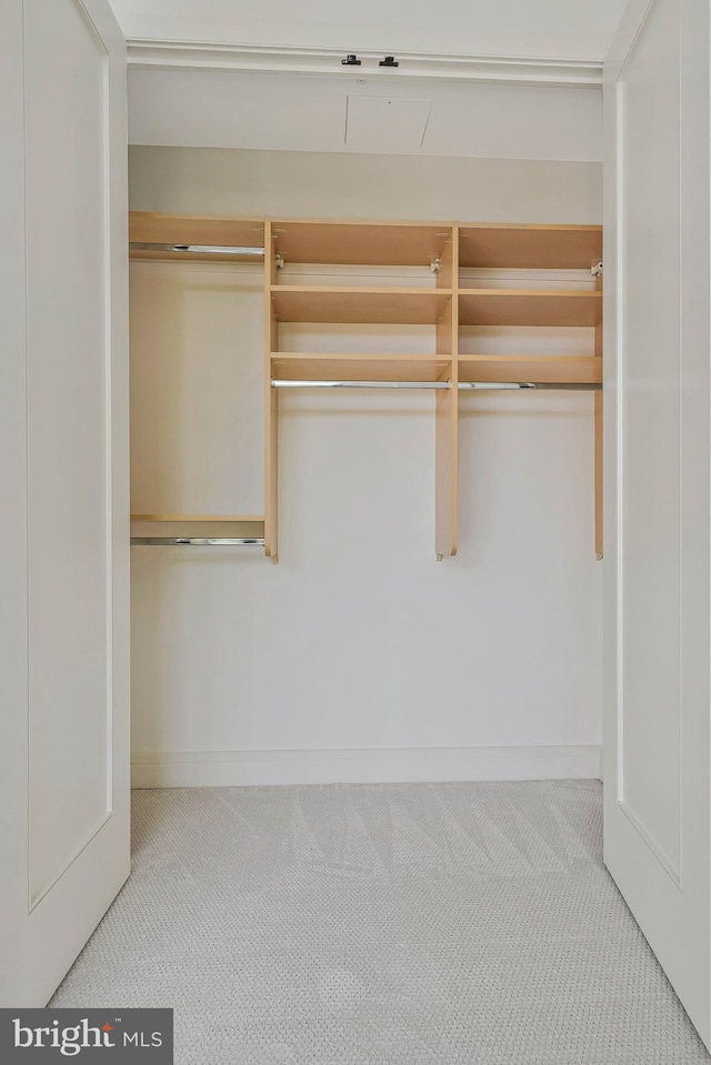 view of closet
