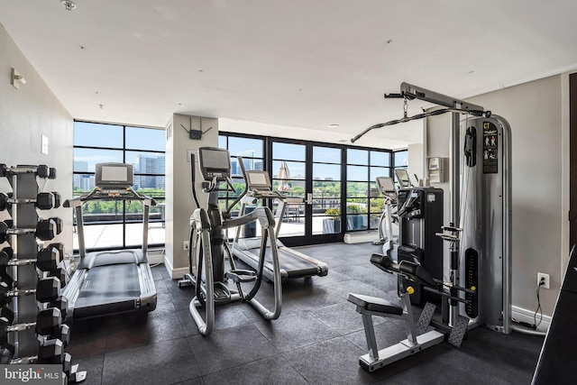 exercise room with expansive windows and a wealth of natural light