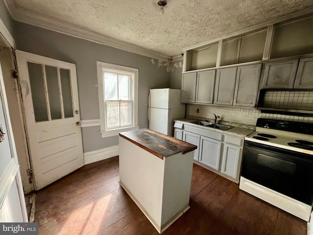 407 Carruthers St, Lexington, VA 24450 - kitchen featuring a sink, butcher block counters, freestanding refrigerator, crown molding, and electric range oven