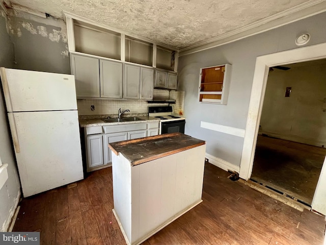 407 Carruthers St, Lexington, VA 24450 - kitchen with tasteful backsplash, a sink, range with electric stovetop, dark wood-style floors, and freestanding refrigerator