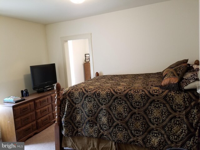 9 Queen St N, Shippensburg, PA 17257 - bedroom with light colored carpet