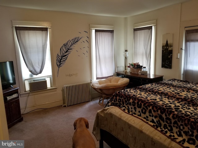 9 Queen St N, Shippensburg, PA 17257 - bedroom featuring radiator, cooling unit, and carpet flooring
