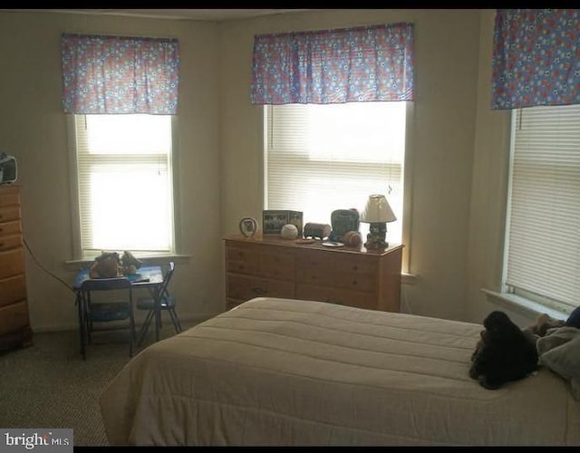 9 Queen St N, Shippensburg, PA 17257 - bedroom featuring carpet floors