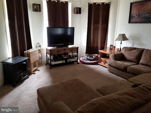 9 Queen St N, Shippensburg, PA 17257 - view of carpeted living area