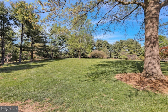 view of yard