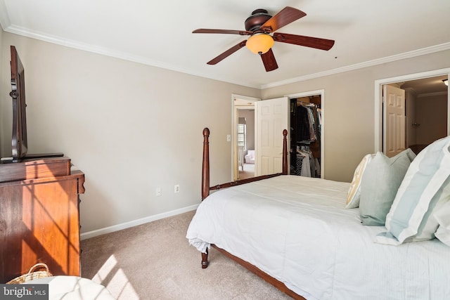 carpeted bedroom featuring a closet, baseboards, ornamental molding, a ceiling fan, and a walk in closet
