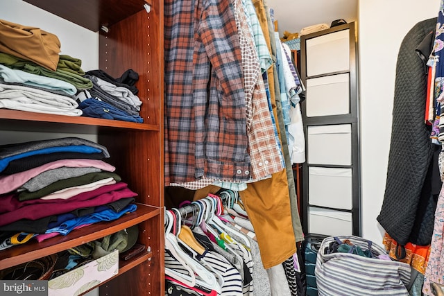 view of walk in closet