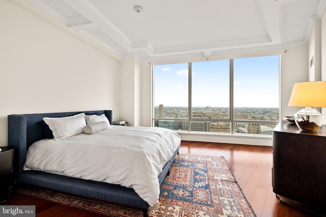 1414 S Penn Sq Unit 34B, Philadelphia, PA 19102 - bedroom with wood finished floors, ornamental molding, and a raised ceiling