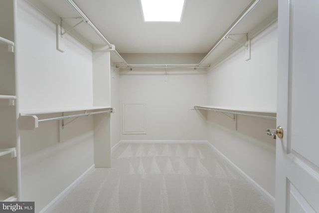 12600 Tolman Rd, Fairfax, VA 22033 - walk in closet featuring carpet floors