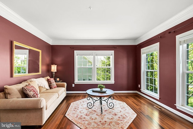 living area with baseboards, ornamental molding, dark wood-type flooring, and visible vents