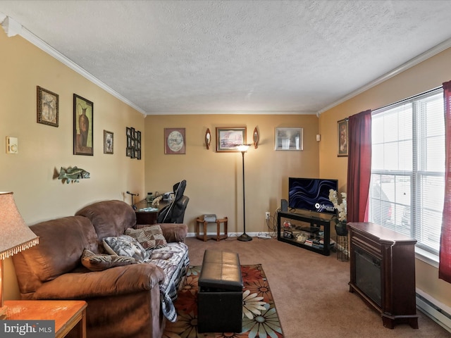 living room with a healthy amount of sunlight, carpet floors, ornamental molding, and baseboard heating