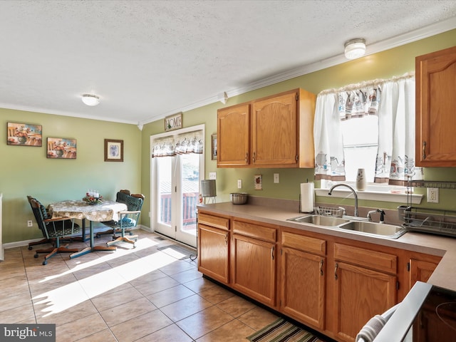 kitchen featuring a sink, ornamental molding, and a textured ceiling