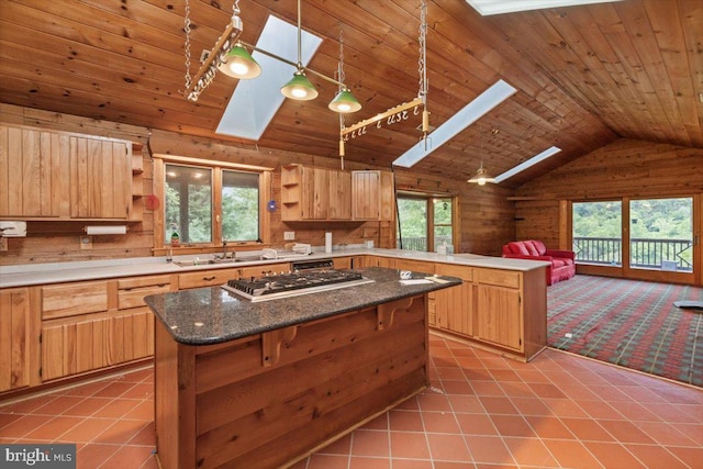365 Stoney Bottom Rd, Front Royal, VA 22630 - kitchen featuring a skylight, open shelves, a peninsula, lofted ceiling, and a sink